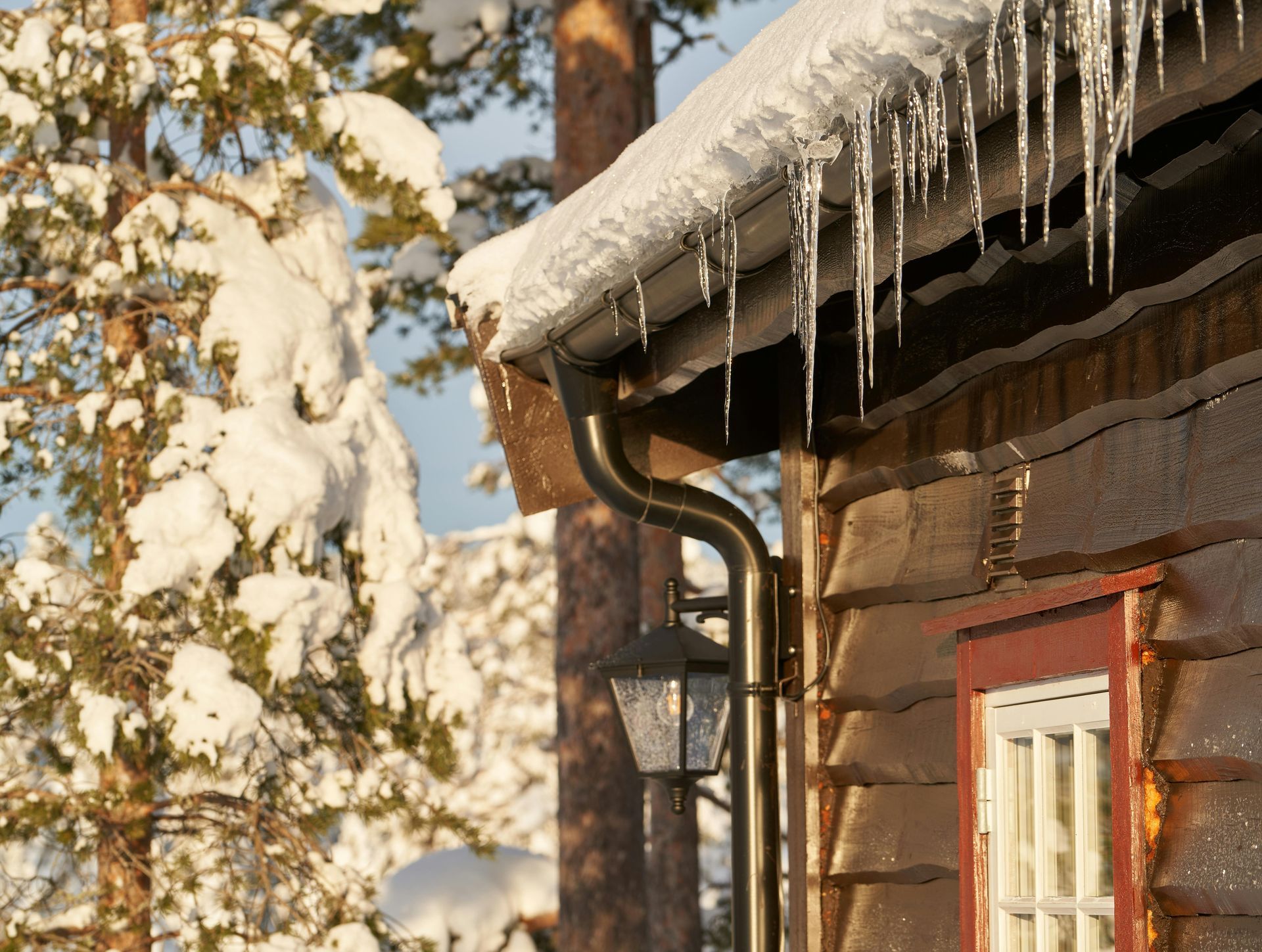 Toit de cabane enneigé avec des stalactites de glace, porte rouge et arbres enneigés sous le soleil d'hiver