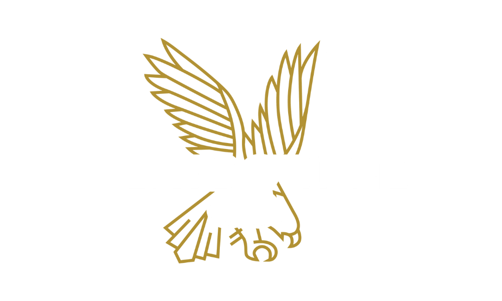 Golden outline of an eagle in flight on a white background.