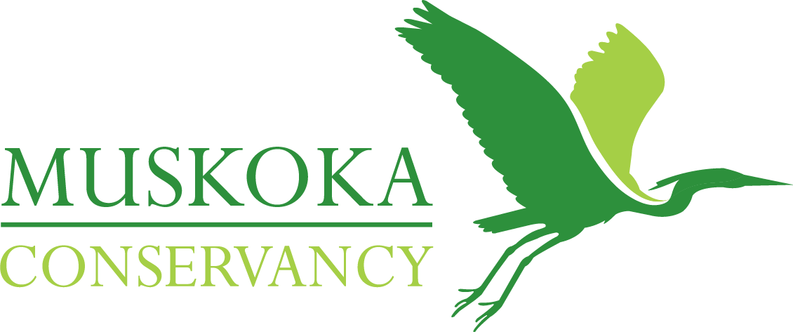 Muskoka Conservancy Logo