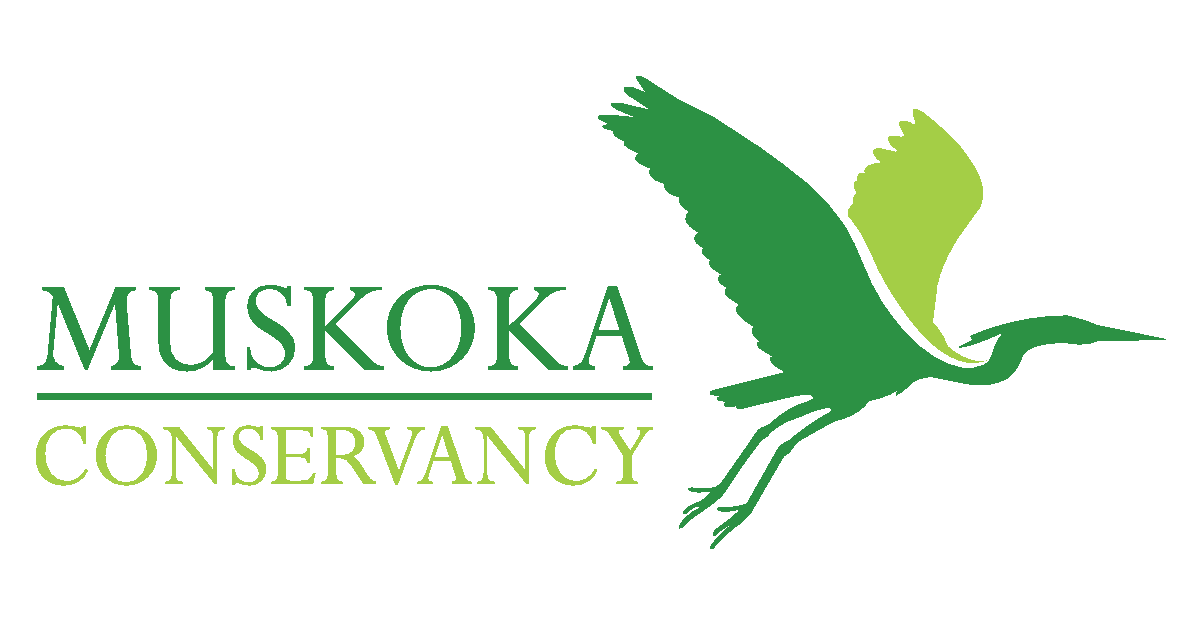 www.muskokaconservancy.org