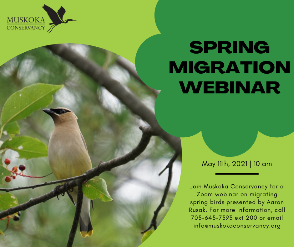 May Webinar Spring Migration