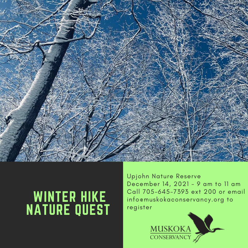 Winter Hike Nature Quest 2020