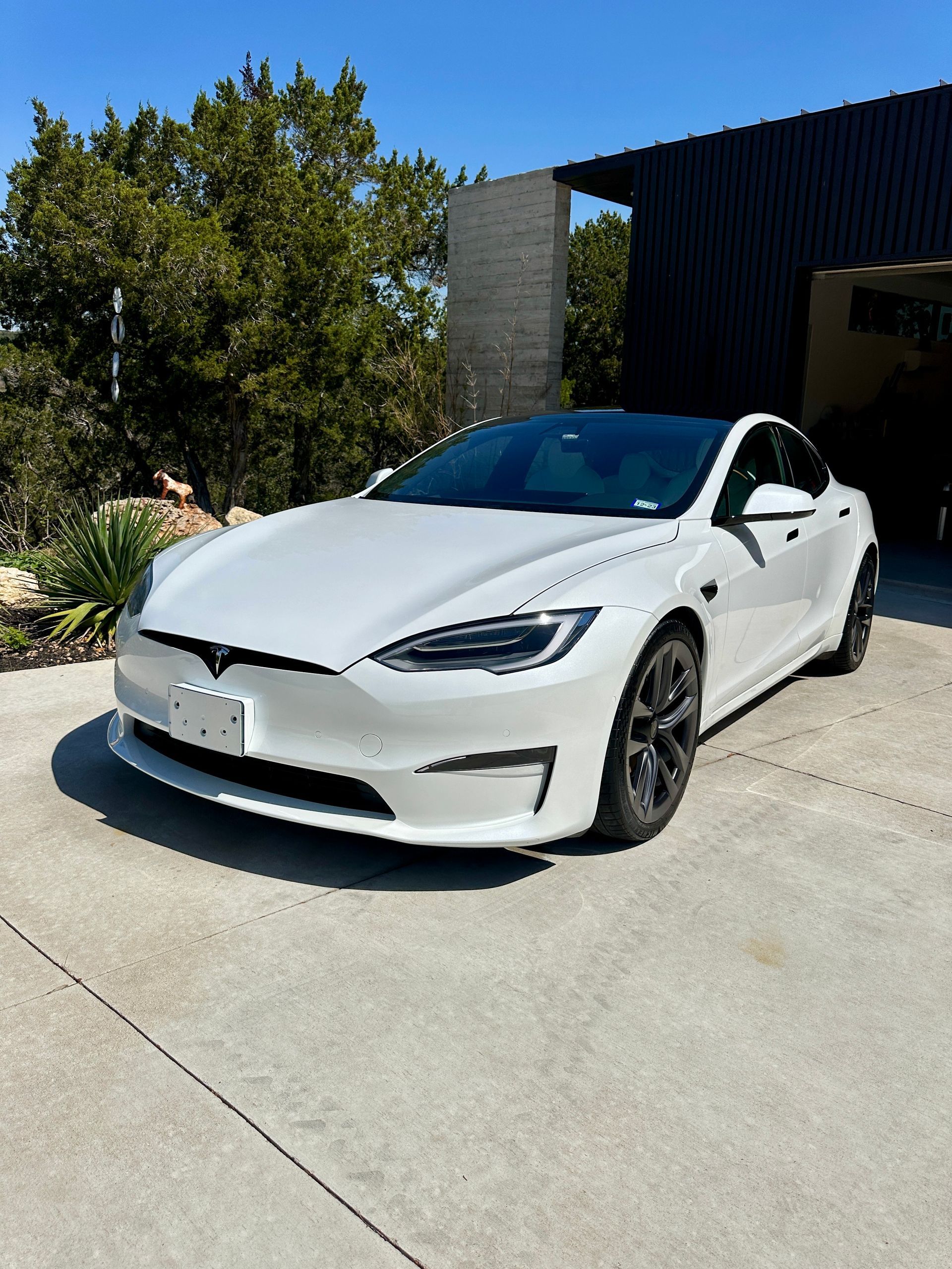 Paint Protection Film Services