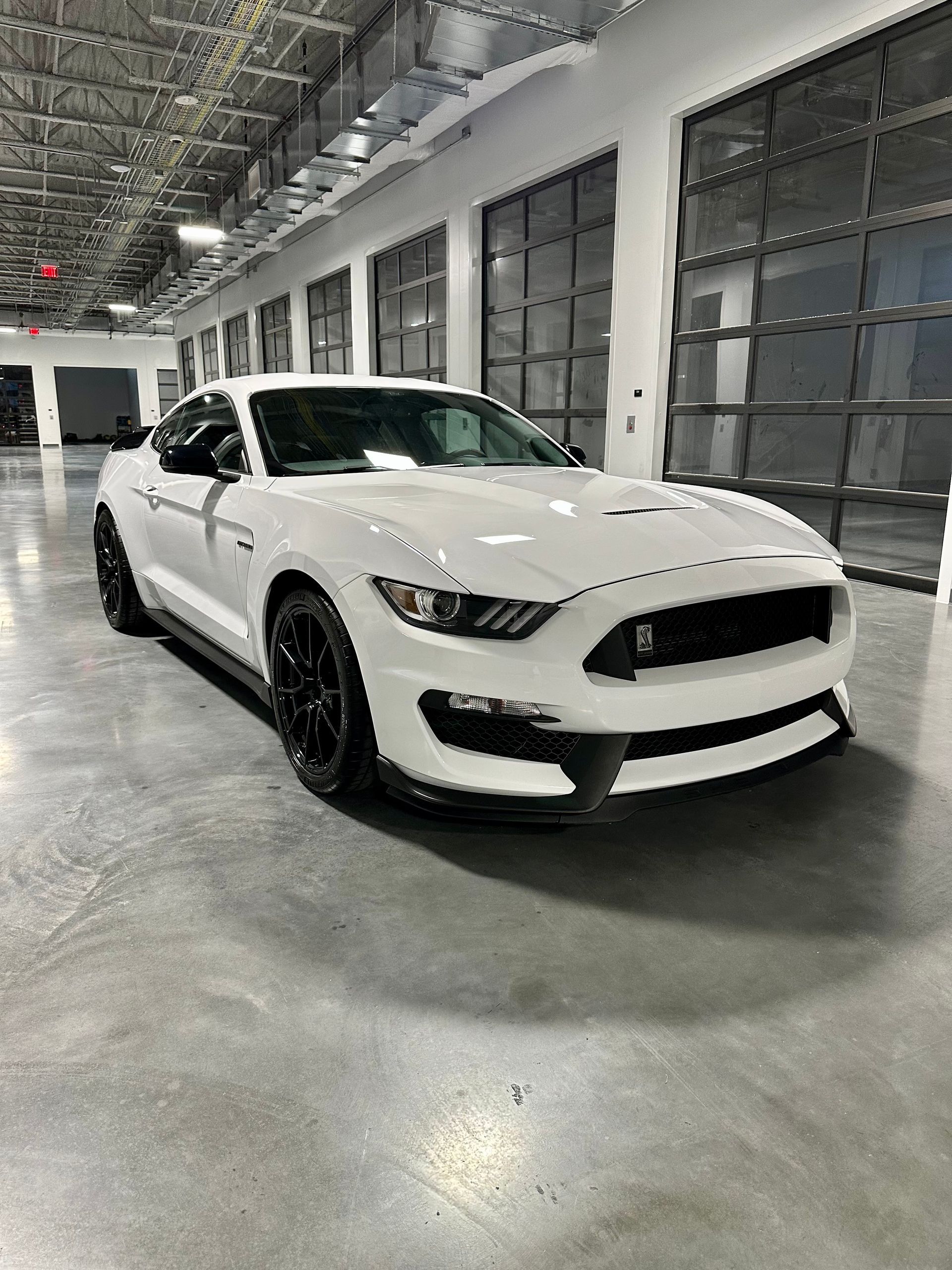 White Ford Mustang sports car parked inside a modern showroom, black accents.