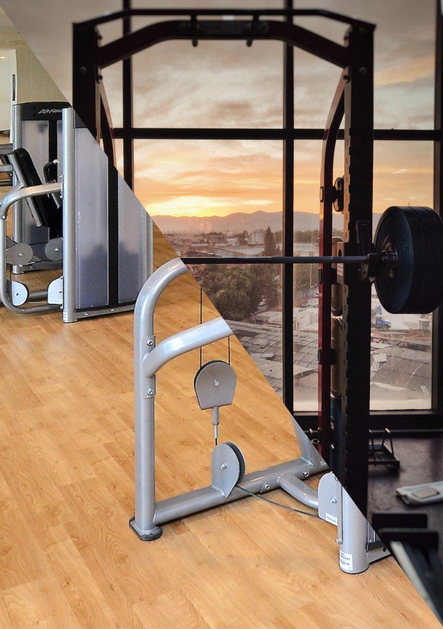 Free Weights vs. Machines