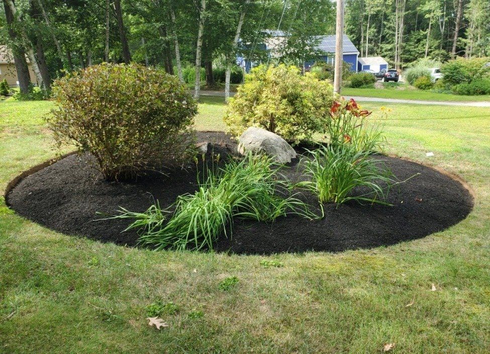 Overgrown Lawn Plants After — Danville, NH — Divine Landscaping LLC