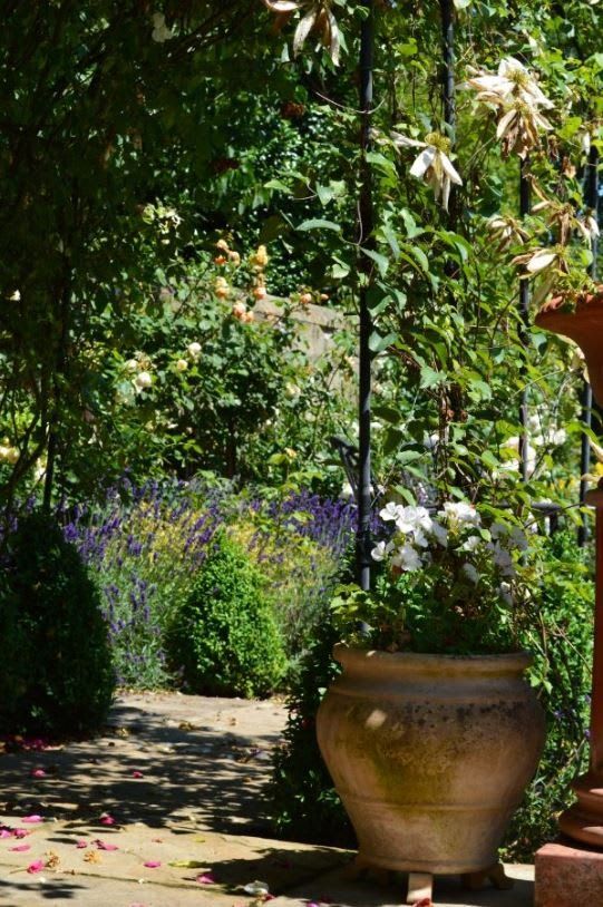 Swanson Landscapes Ltd's project picture 13