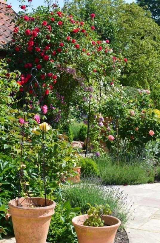 Swanson Landscapes Ltd's project picture 12