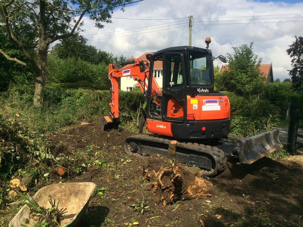 Swanson Landscapes Ltd's project picture 8