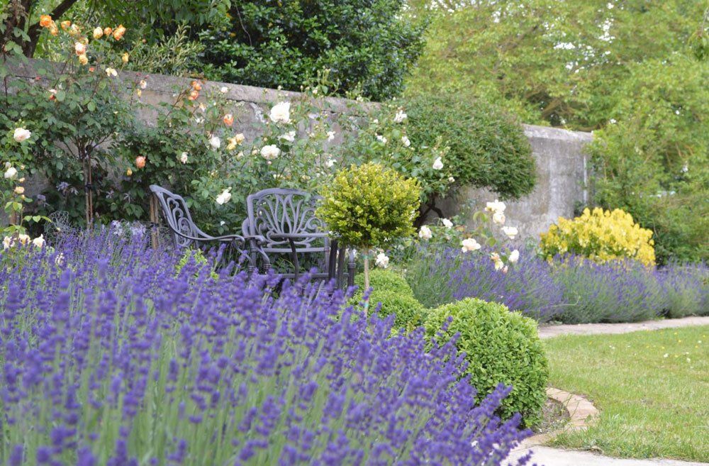 Swanson Landscapes Ltd's project picture 9