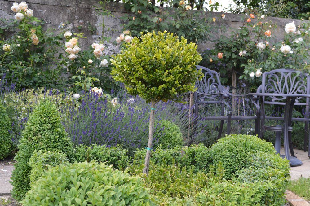 Swanson Landscapes Ltd's project picture 7