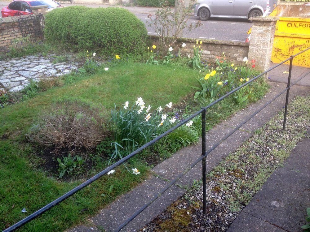 Swanson Landscapes Ltd's project picture 4