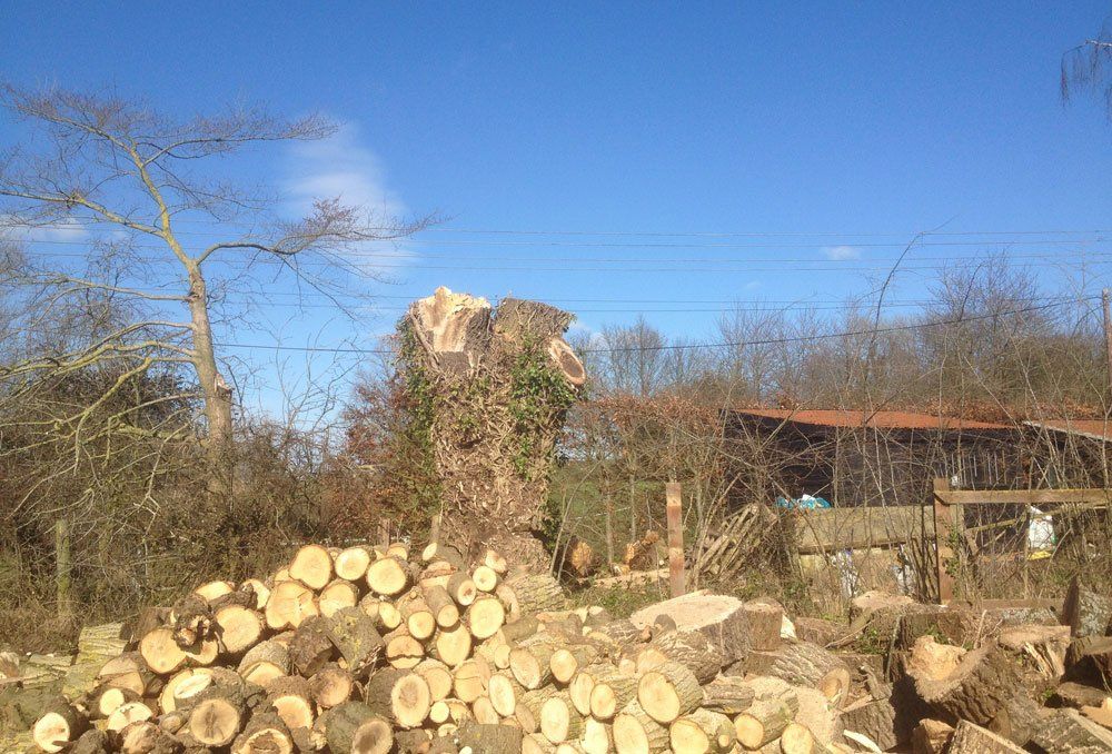 Swanson Landscapes Ltd's project picture 3