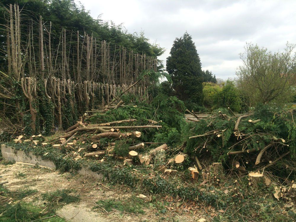 Swanson Landscapes Ltd's project picture 1