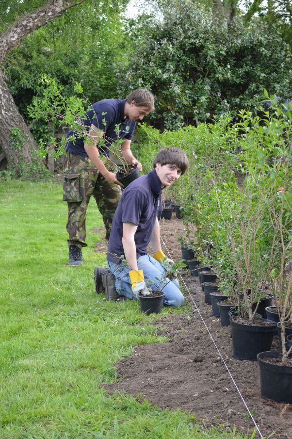 Swanson Landscapes Ltd's project picture 2