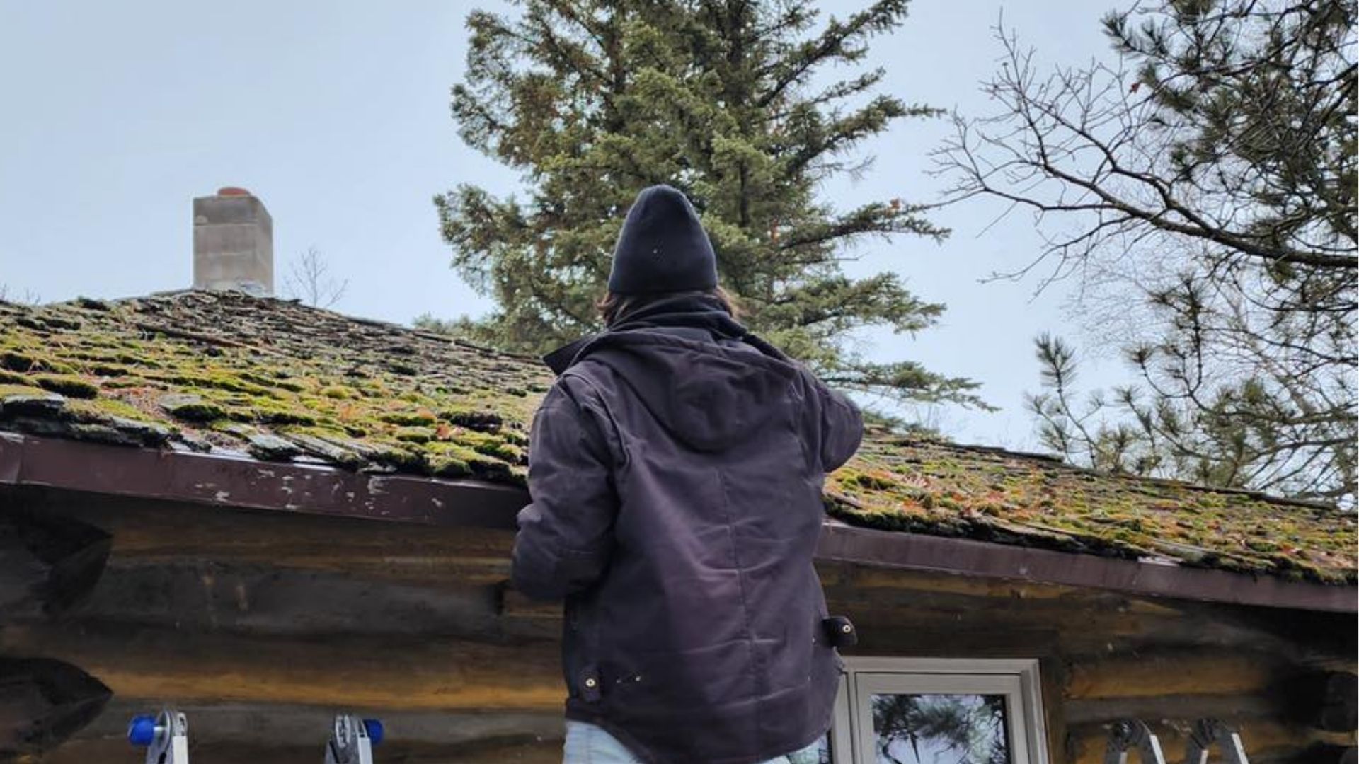 A person in a dark jacket and beanie stands on a ladder, inspecting the mossy roof of a log cabin.