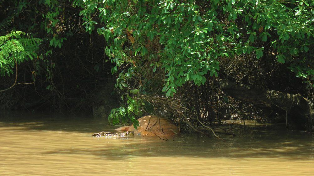 Humpty Doo — Auto Electrician Near Me in Humpty Doo NT