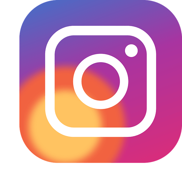 Logo Instagram