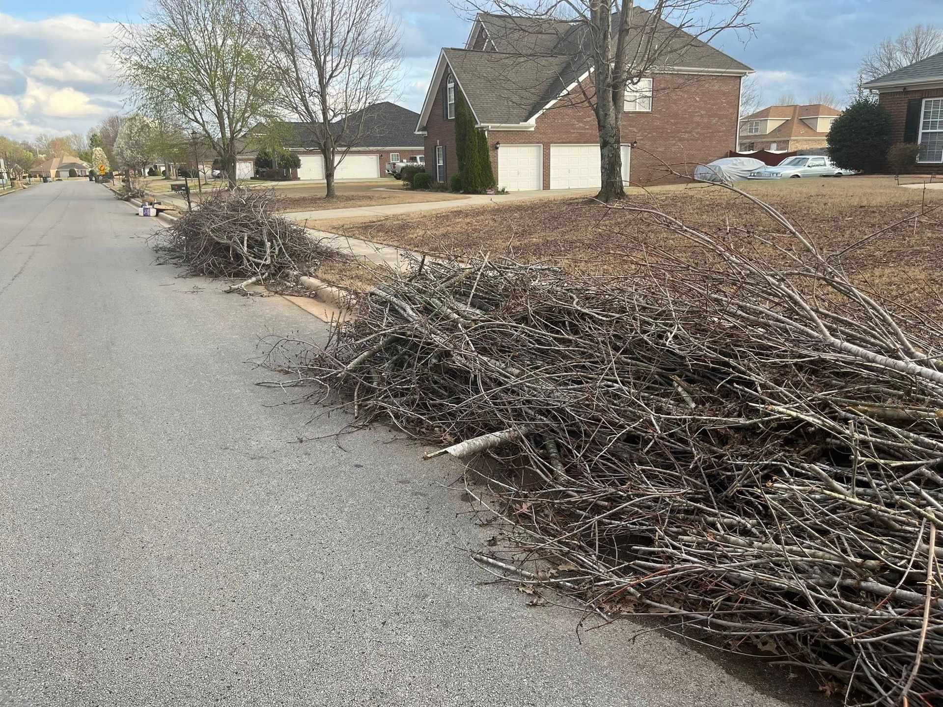 Large piles of cut tree branches lining the edge of a suburban residential street next to a curb.