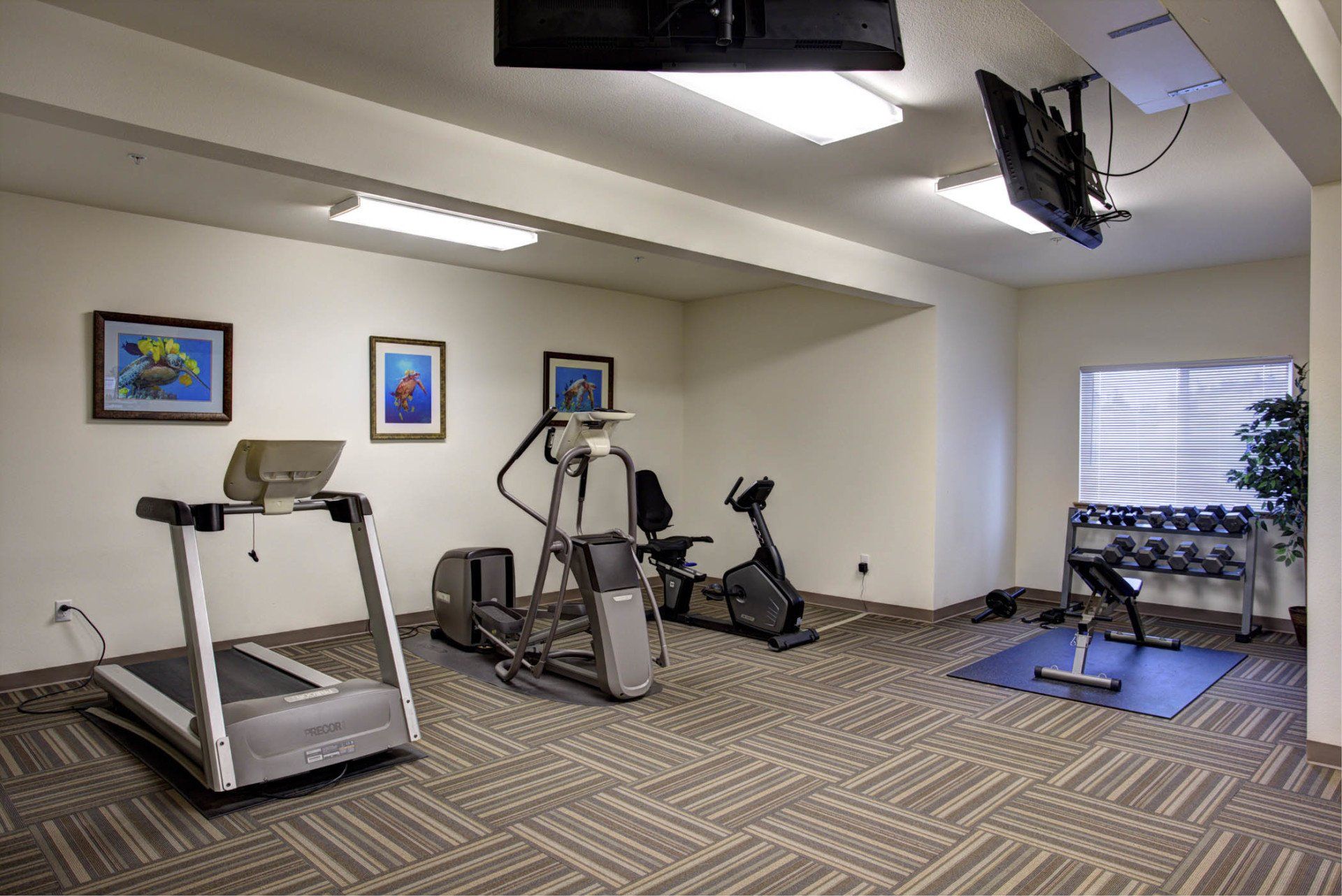 Village at Baker Creek