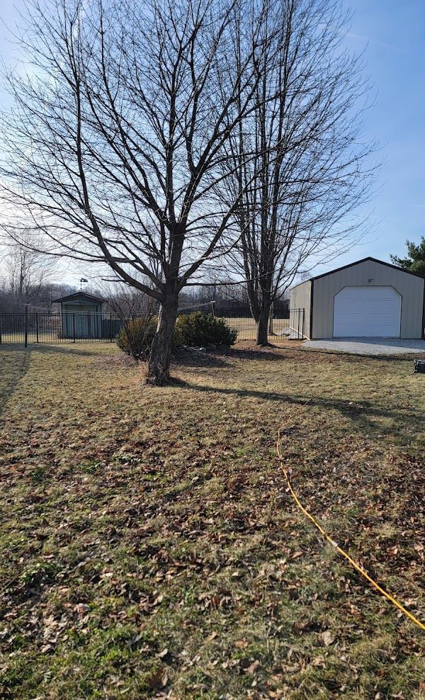 There is a garage in the background and a tree in the foreground.