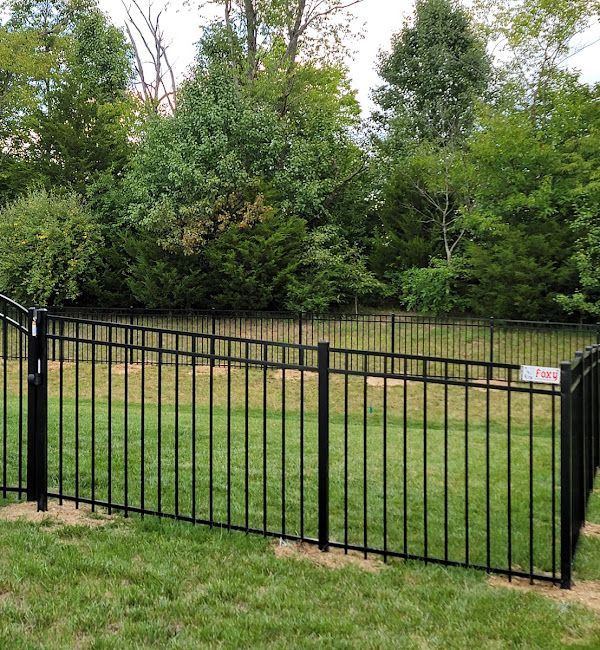 A black metal fence surrounds a grassy field with trees in the background.