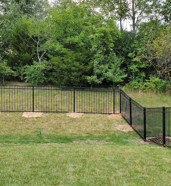 A black fence surrounds a lush green field with trees in the background.