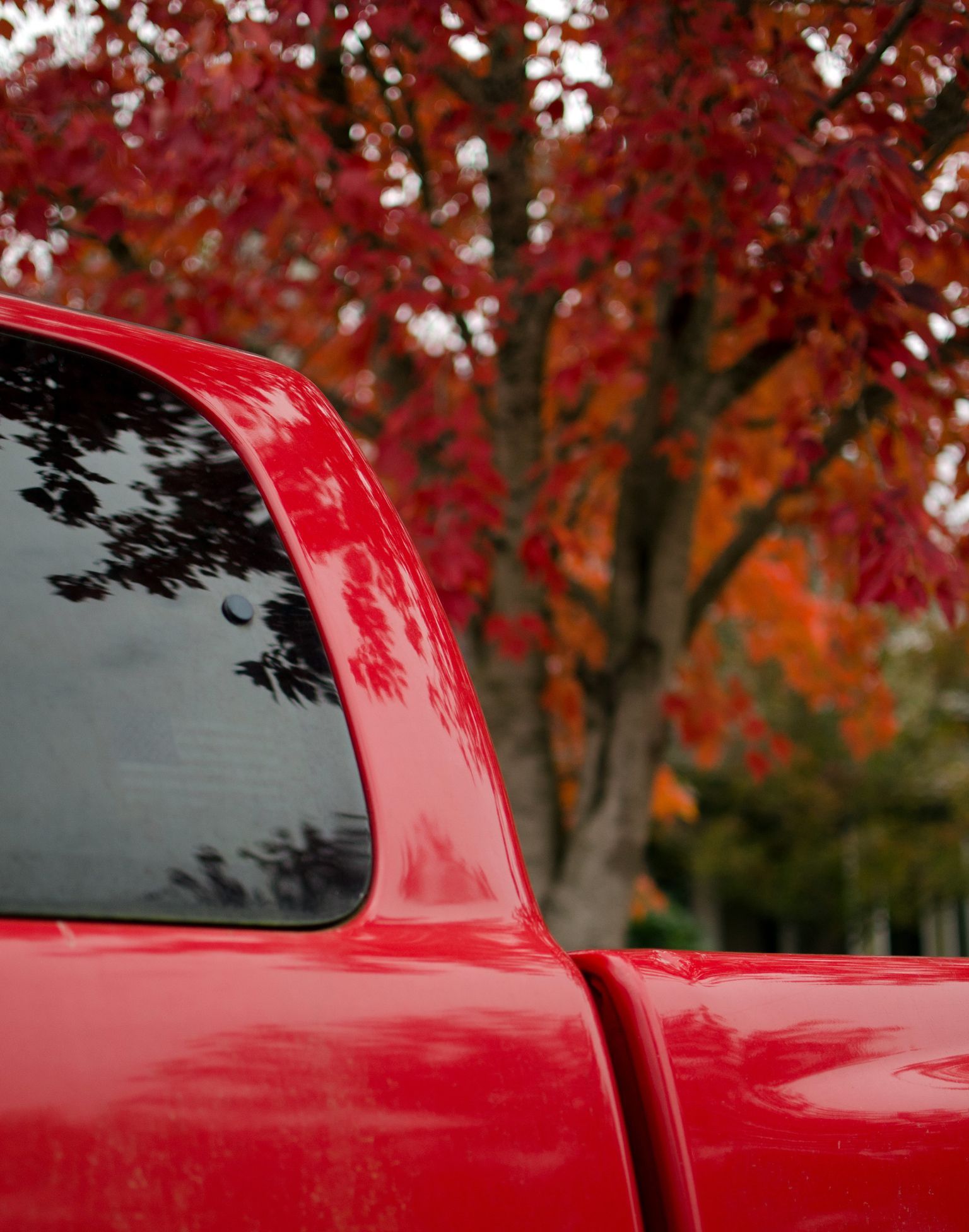 Red pickup truck against a backdrop of vibrant fall foliage.