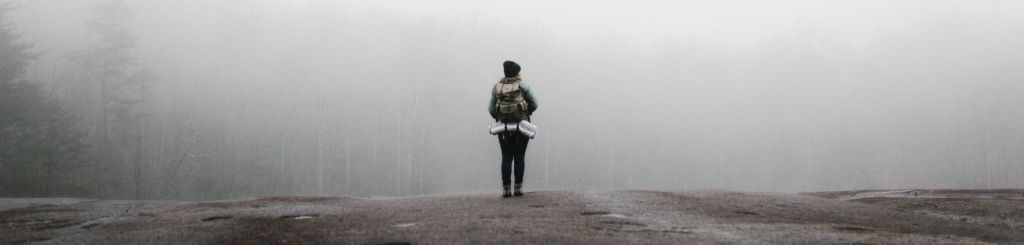 Photo by Andrew Neel on Unsplash