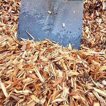 How Much Cedar Chips Do I Need: Expert Tips & Calculator