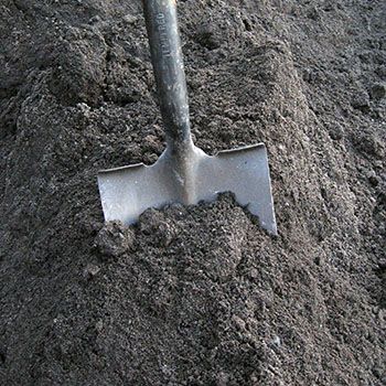 Lawn Blend Topsoil | Morrison Gravel