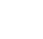 A white background with a few lines on it