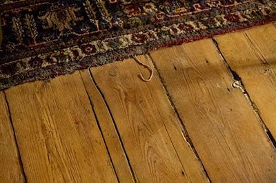 Close-up of aged wooden floorboards, a patterned rug edge, and a small, light-colored object.