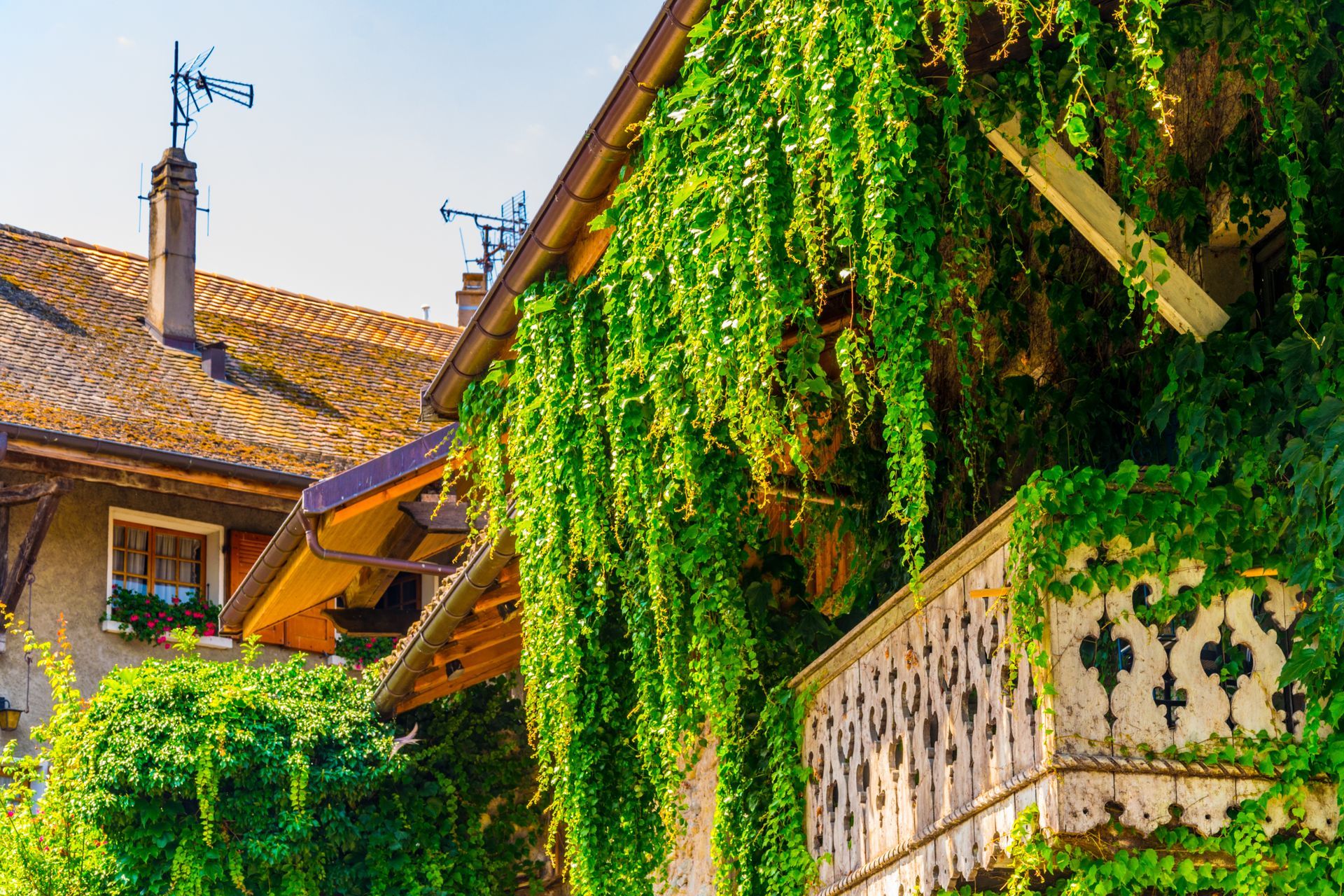 Una casa con un balcone ricoperto di edera e una banderuola sul tetto.
