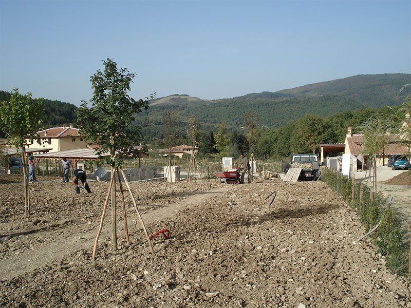 Un campo sterrato con alberi e case sullo sfondo