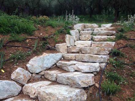 Una serie di scale fatte di rocce in un campo.