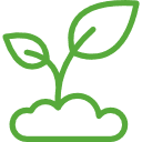 Icon of a small plant growing