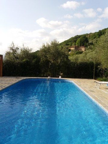 Una grande piscina circondata da alberi e cespugli in una giornata di sole