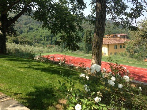 Garden with white roses and tennis field