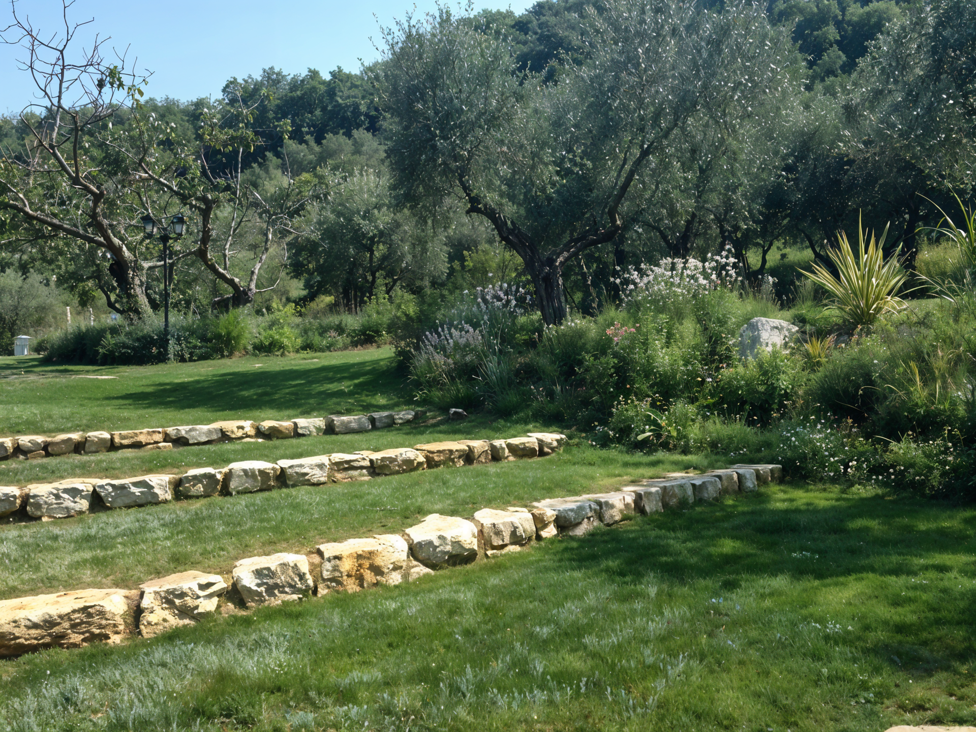 Una fila di gradini in pietra in una zona erbosa con alberi sullo sfondo