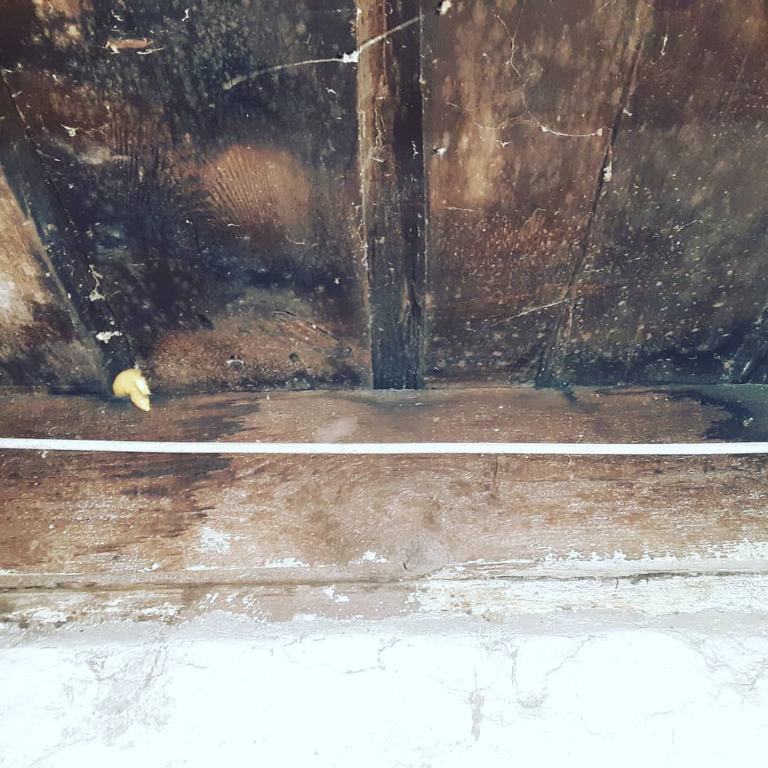 A close up of a wooden wall with a white line going through it.