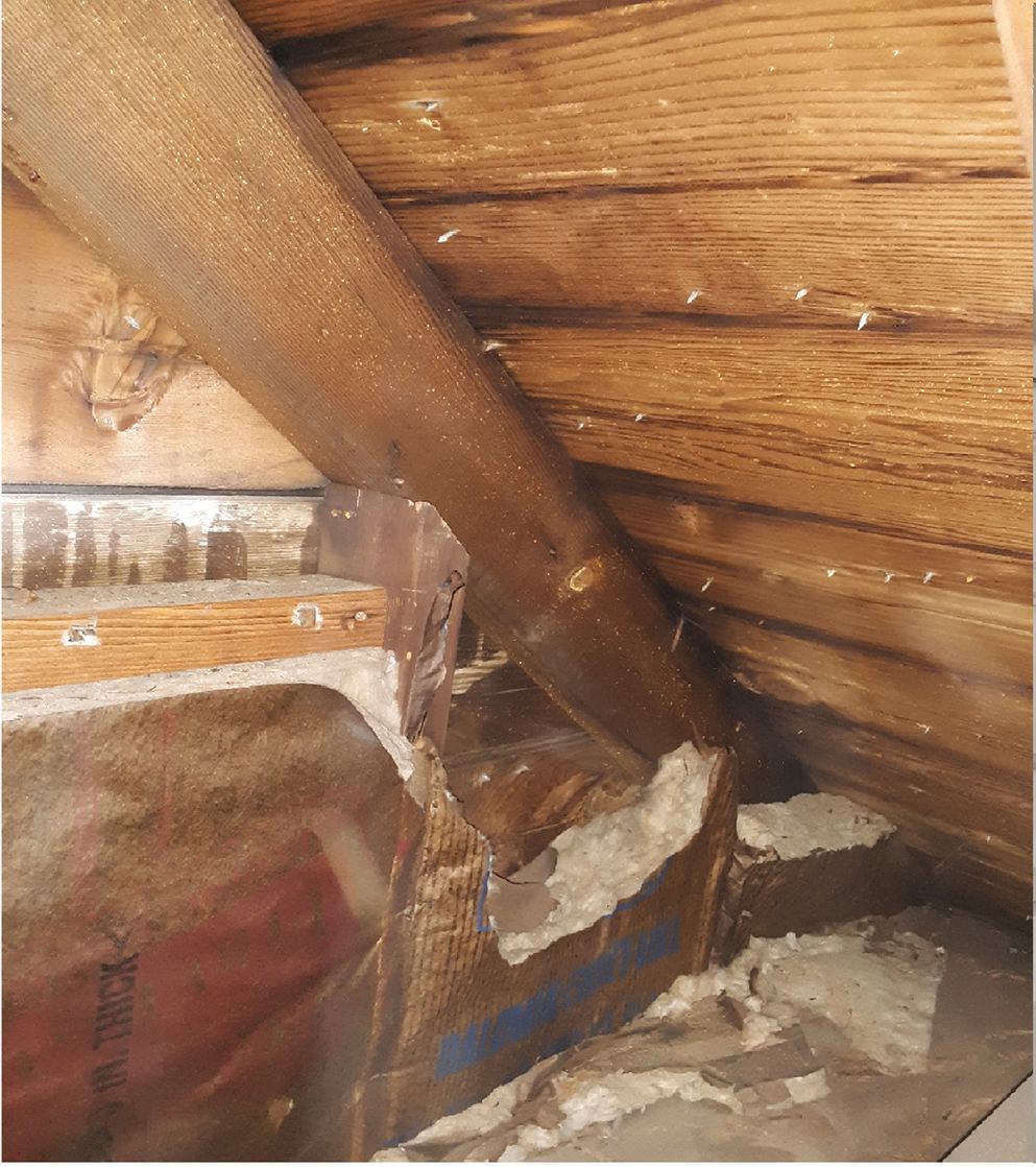 A wooden wall with a few pieces of styrofoam on it