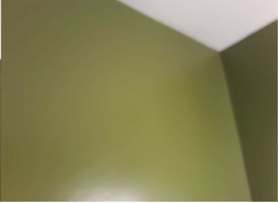 A corner of a room with green walls and a white ceiling