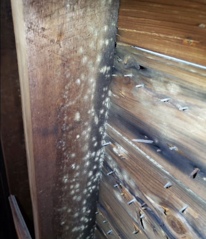 A wooden wall with nails sticking out of it