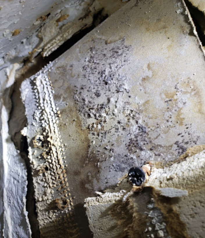 A screw is sticking out of a hole in a wall