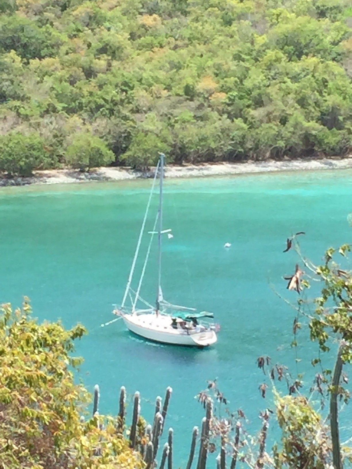 Sailboat in turquoise water, anchored near lush green shoreline.