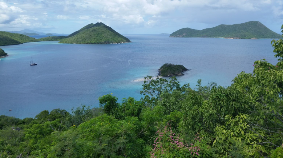 A large body of water surrounded by trees and mountains.