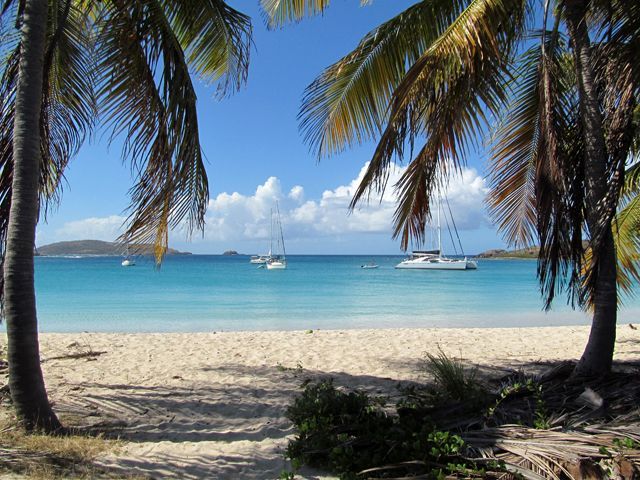 A beach with palm trees and boats in the water