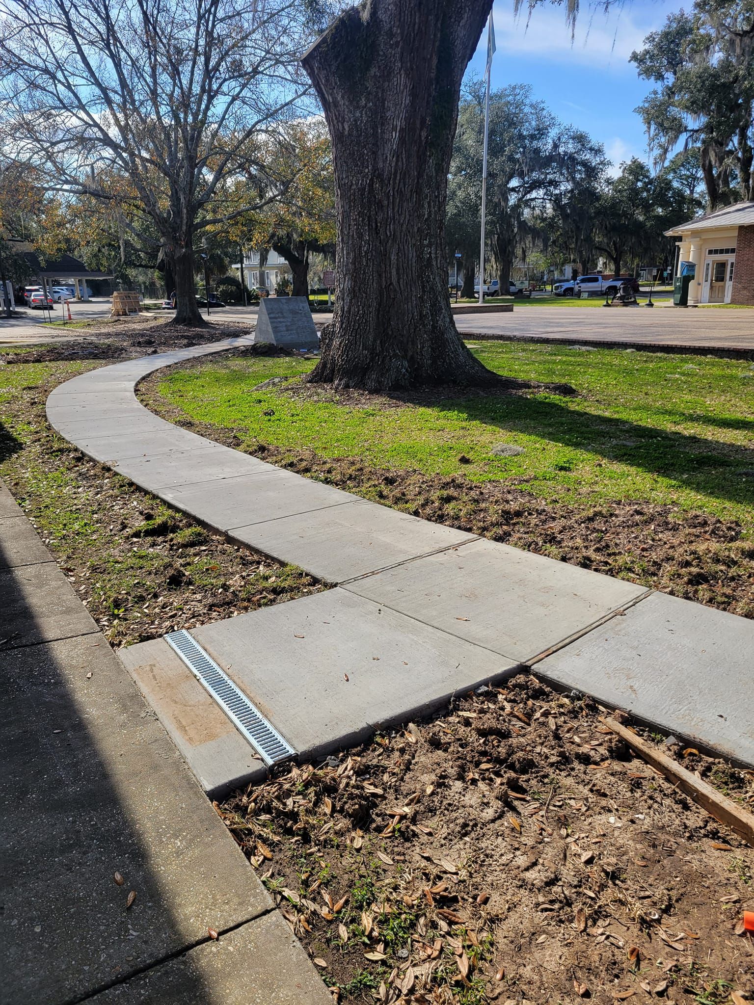 A concrete sidewalk is being built in a park next to a tree.