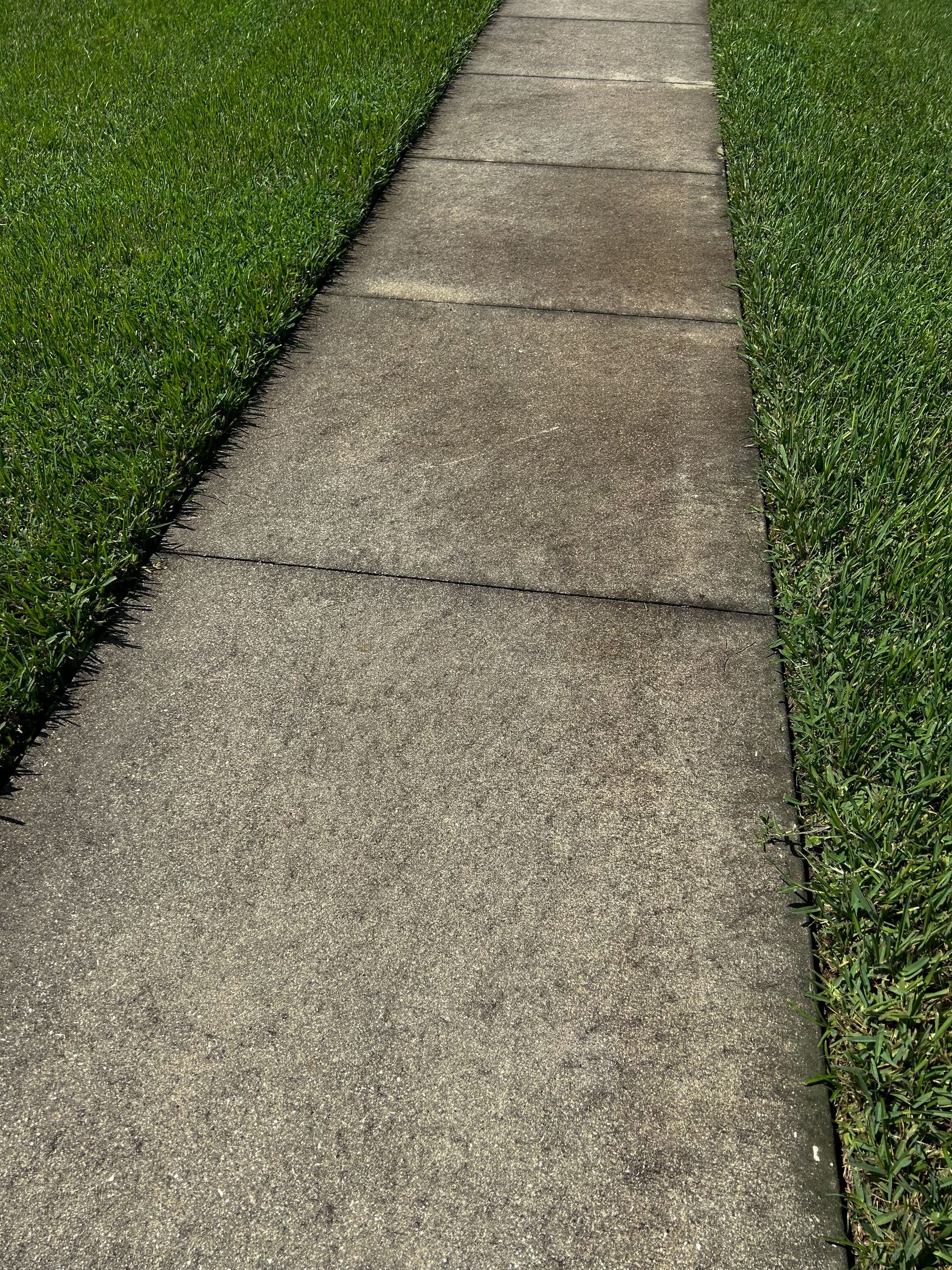 Pressure washing dirt, grime, mold and mildew off of a sidewalk
